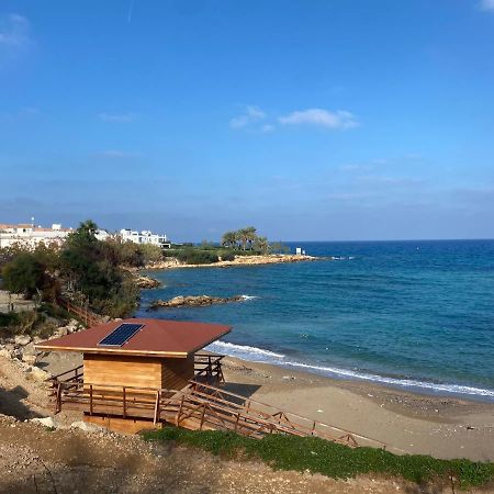 Olive Tree Villa - Протарас Экстерьер фото