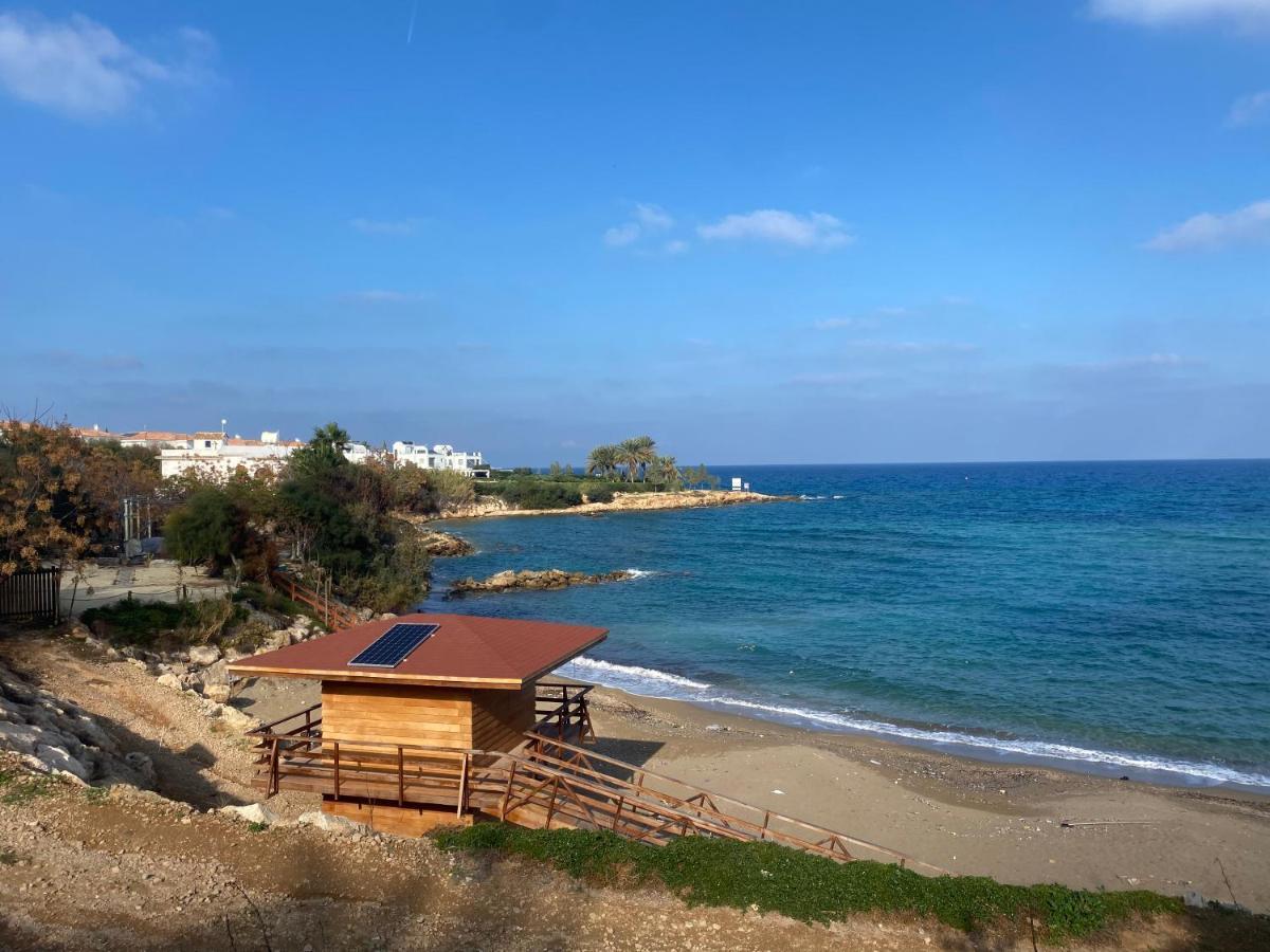 Olive Tree Villa - Протарас Экстерьер фото